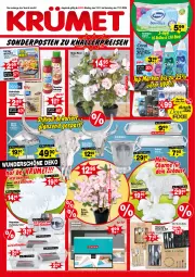 Gazetka promocyjna  - Prospekte - Gazetka - ważna od 17.01 do 17.01.2026 - strona 1 - produkty: angebot, angebote, besteck, besteck-set, Blüte, Brei, decke, Deckel, deo, dusche, edelstahl, Einteiler, eis, elle, fisch, gabel, garnelen, hafer, haferfleks, ketchup, kirsch, knallerpreis, korn, Liege, Löffel, Lusti, messer, milch, papier, reifen, reis, Schal, Schale, schoko, schokolade, sekt, sonderposten, Stier, tablet, tablett, tee, teller, Ti, toilettenpapier, tomate, tomaten, tomatenketchup, topf, vollmilch, waschmittel