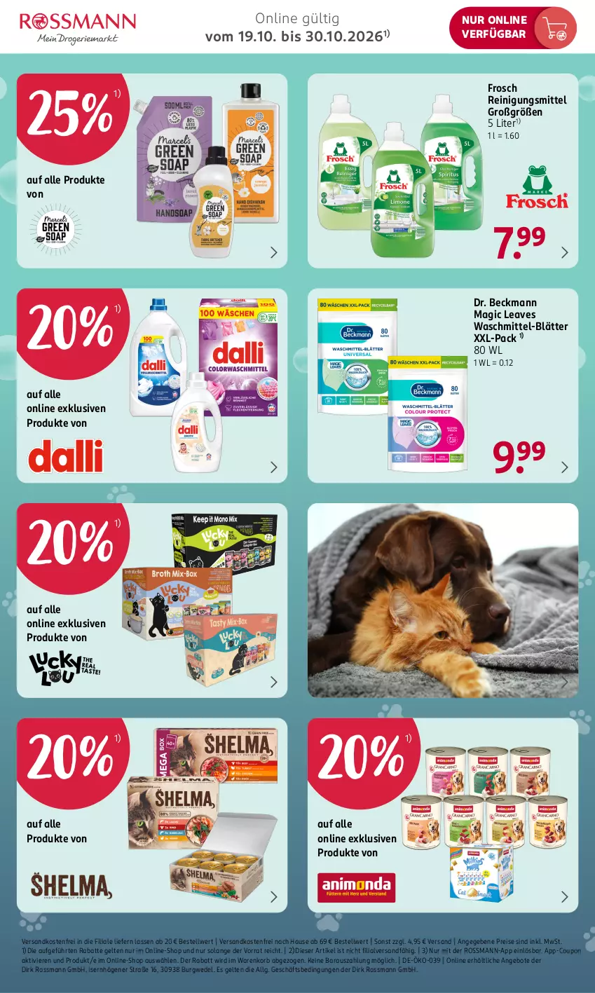 Aktueller Prospekt Rossmann - Prospekte - von 19.10 bis 30.10.2026 - strona 3 - produkty: angebot, angebote, coupon, Dr. Beckmann, eis, Frosch, korb, LG, ndk, Reinigung, Reinigungsmittel, reis, Ti, versandkostenfrei, waschmittel, wedel