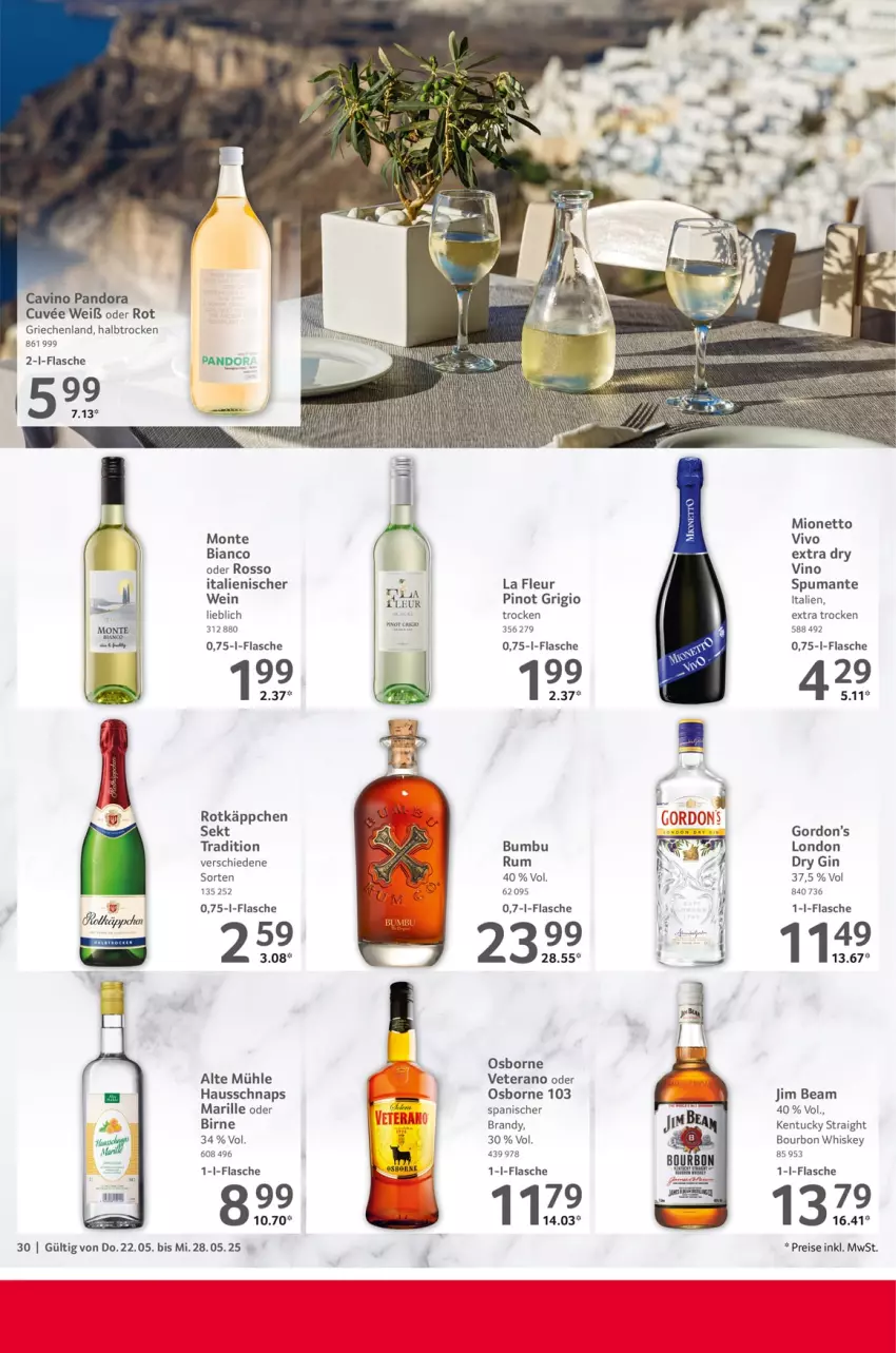 Aktueller Prospekt Selgros - Food - von 22.05 bis 28.05.2025 - strona 30 - produkty: bourbon, bourbon whiskey, Bumbu, dry gin, eis, flasche, gin, gordon, Gordon’s, jim beam, kentucky straight, london dry, london dry gin, mionetto, monte, osborne, Pinot, pinot grigio, puma, reis, rel, rotkäppchen, rum, sekt, spumante, Ti, Tiere, tuc, veterano, Vino Spumante, wein, whiskey
