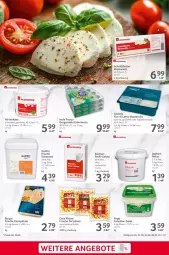 Gazetka promocyjna Selgros - Food - Gazetka - ważna od 28.05 do 28.05.2025 - strona 27 - produkty: beutel, Coleslaw, eier, eierspätzle, eimer, eis, elle, frischli, gorgonzola, hirtenkäse, joghur, joghurt, Käse, küche, Küchen, latte, mozzarella, natur, Popp, reis, rel, sahne, salat, salz, Schal, Schale, schmand, Ti, torte, tortelloni, würfel