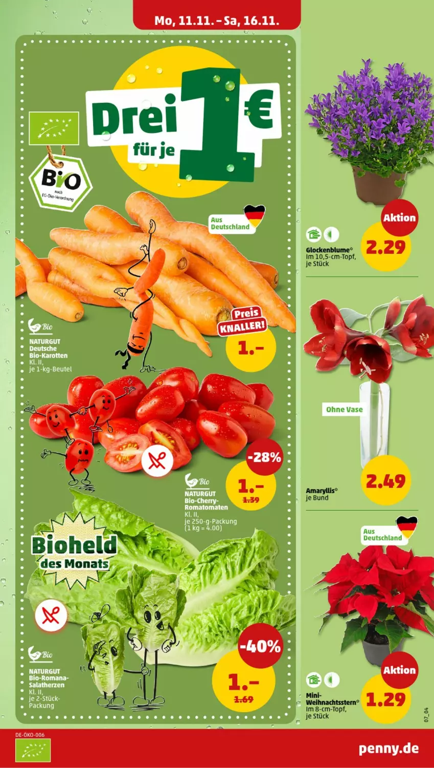 Aktueller Prospekt Penny - Prospekte - von 11.11 bis 16.11.2024 - strona 7 - produkty: blume, topf