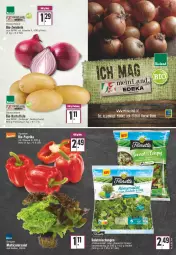 Gazetka promocyjna Edeka - Angebote der Woche - Gazetka - ważna od 29.01 do 29.01.2022 - strona 5 - produkty: ball, beutel, bio, deka, feldsalat, kartoffel, kartoffeln, salat, Ti, zwiebel, zwiebeln