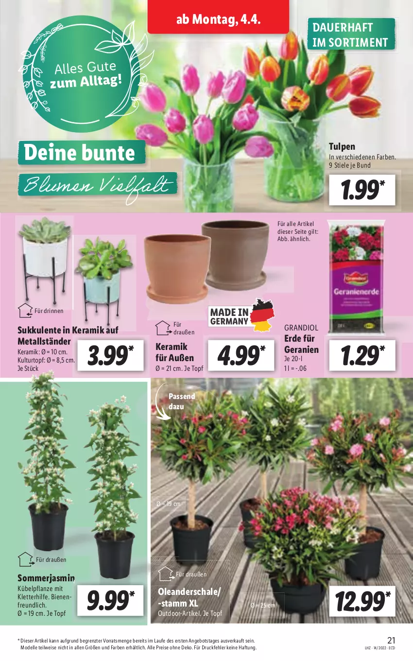 Aktueller Prospekt Lidl - Aktionsprospekt - von 04.04 bis 09.04.2022 - strona 21 - produkty: angebot, auer, dell, eis, elle, ente, erde, geranie, geranien, kulturtopf, Mode, reis, Ti, topf, ZTE