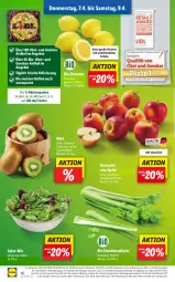 Gazetka promocyjna Lidl - Aktionsprospekt - Gazetka - ważna od 09.04 do 09.04.2022 - strona 42 - produkty: Abtei, angebot, bio, discount, eis, elle, magazin, obst, reis, salat, stauden, Ti, und gemüse, zitrone, zitronen