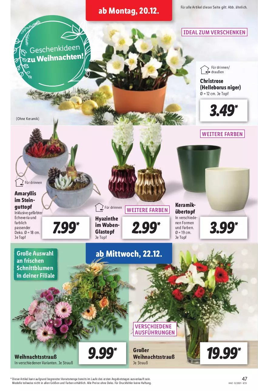 Aktueller Prospekt Lidl - Aktionsprospekt - von 20.12 bis 25.12.2021 - strona 47 - produkty: angebot, blume, blumen, dell, eis, elle, Mode, reis, Ria, Ti, topf, übertopf, weihnachten, ZTE