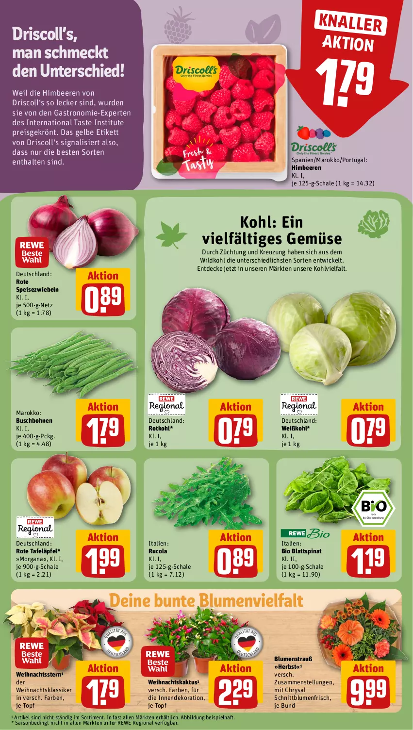 Aktueller Prospekt Rewe - Prospekte - von 30.10 bis 04.11.2023 - strona 5 - produkty: beere, beeren, bio, blattspinat, blume, blumen, Blumenstrauß, bohne, bohnen, Buschbohnen, cola, decke, dekoration, eis, himbeer, himbeere, himbeeren, reis, rote tafeläpfel, rotkohl, rucola, Schal, Schale, Signal, Speisezwiebeln, spinat, tafeläpfel, Ti, topf, Weihnachtsstern, Weißkohl, WICK, Wild, zwiebel, zwiebeln