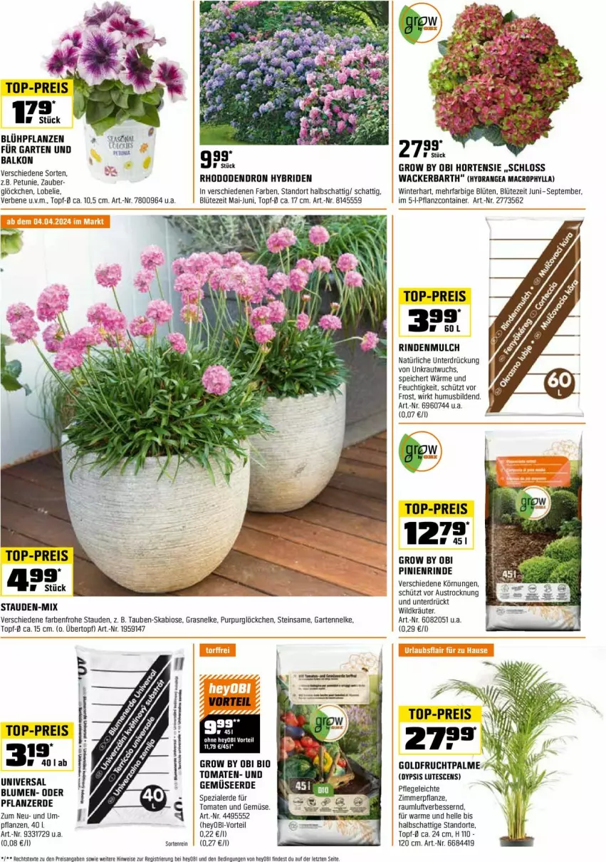 Aktueller Prospekt Obi - Prospekte - von 01.04 bis 30.04.2024 - strona 11 - produkty: aust, bio, blume, blumen, Blüte, Container, eis, elle, erde, frucht, Garten, Gemüseerde, hortensie, HP, hydrangea, hydrangea macrophylla, Kraut, kräuter, Lobelie, mac, petunie, pflanze, pflanzen, pflanzerde, reis, rind, rindenmulch, Spezi, stauden, Ti, tomate, tomaten, top-preis, topf, übertopf, und gemüse, usb, Wild, Yo, ZTE