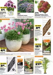 Gazetka promocyjna Obi - Prospekte - Gazetka - ważna od 30.04 do 30.04.2024 - strona 11 - produkty: aust, bio, blume, blumen, Blüte, Container, eis, elle, erde, frucht, Garten, Gemüseerde, hortensie, HP, hydrangea, hydrangea macrophylla, Kraut, kräuter, Lobelie, mac, petunie, pflanze, pflanzen, pflanzerde, reis, rind, rindenmulch, Spezi, stauden, Ti, tomate, tomaten, top-preis, topf, übertopf, und gemüse, usb, Wild, Yo, ZTE