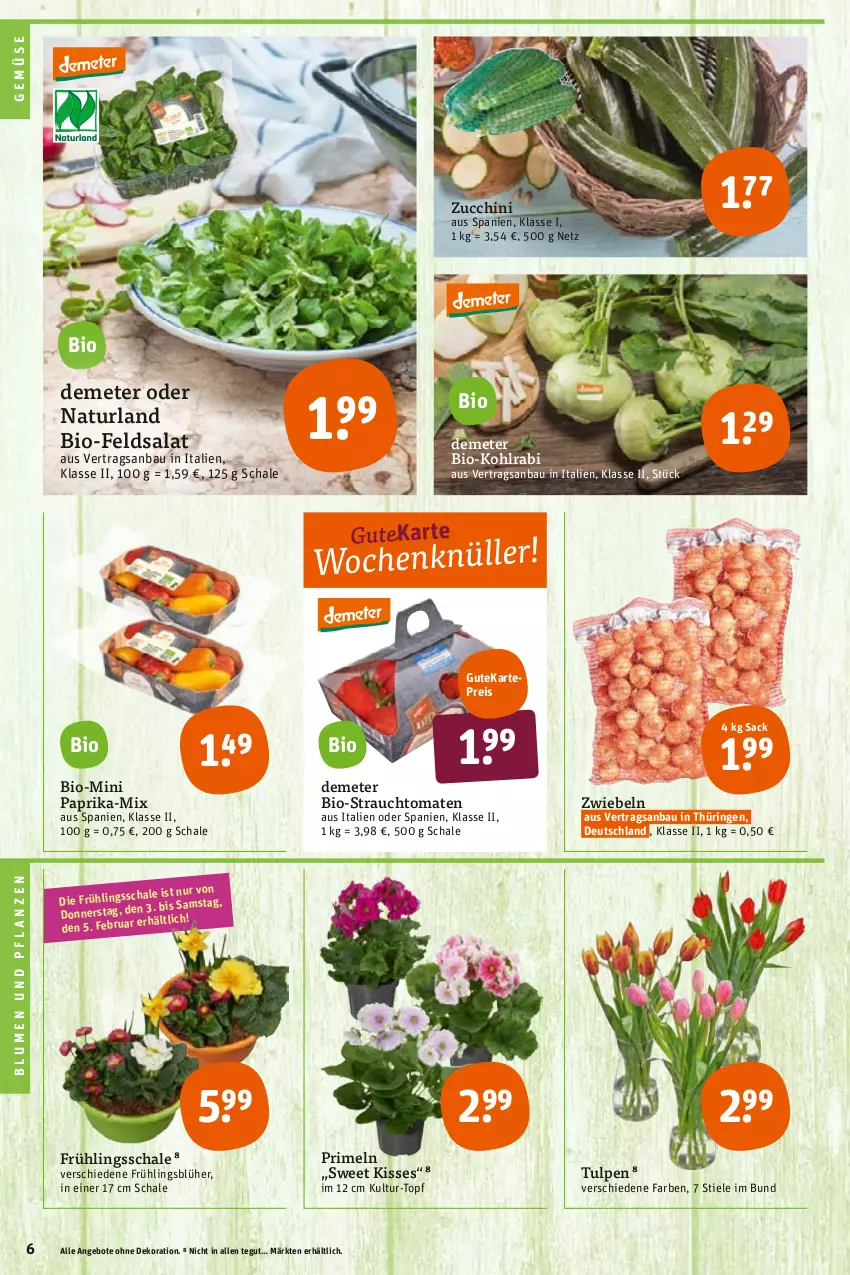 Aktueller Prospekt Tegut - Angebote der Woche - von 31.01 bis 05.02.2022 - strona 8 - produkty: angebot, angebote, Bau, bio, blume, blumen, Blumen und Pflanzen, dekoration, eis, feldsalat, kohlrabi, natur, naturland, paprika, pflanze, pflanzen, Primeln, Rauch, reis, ring, sac, salat, Schal, Schale, strauchtomaten, Ti, tomate, tomaten, topf, zucchini, zwiebel, zwiebeln