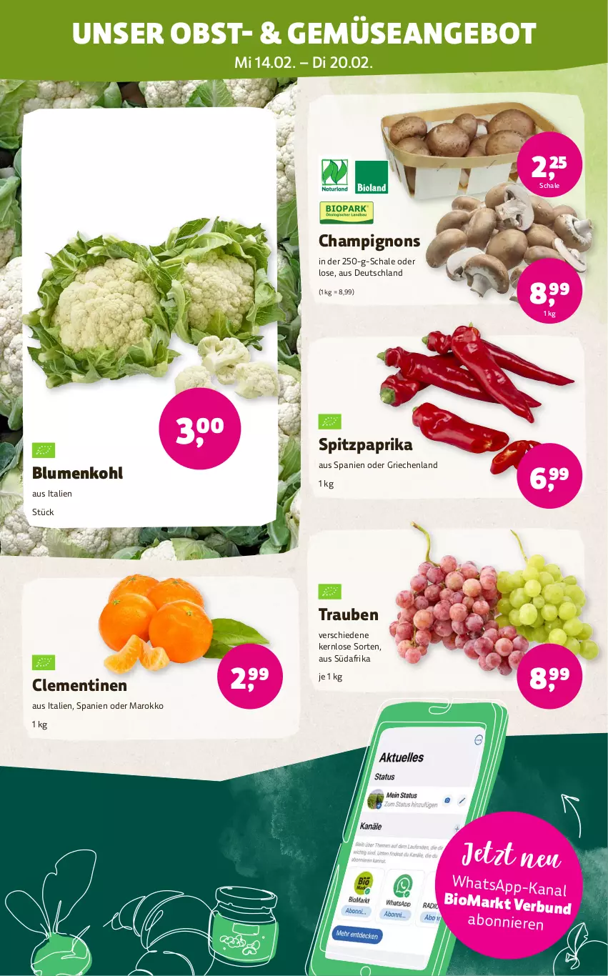 Aktueller Prospekt Denns Biomarkt - von 14.02 bis 27.02.2024 - strona 2 - produkty: angebot, bio, blume, blumen, blumenkohl, champignon, champignons, clementinen, obst, paprika, Schal, Schale, Spitzpaprika, Ti, trauben