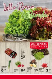 Gazetka promocyjna Selgros - Food - Gazetka - ważna od 07.02 do 07.02.2024 - strona 10 - produkty: apfel, avocado, eis, grana, granatapfel, Lauchzwiebel, radieschen, Rana, Rauch, reis, Schal, Schale, Ti, zwiebel
