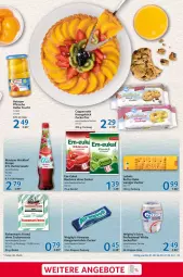 Gazetka promocyjna Selgros - Food - Gazetka - ważna od 07.02 do 07.02.2024 - strona 19 - produkty: angebot, angebote, beutel, bonbons, butter, coppenrath, eis, frucht, kaugummi, keks, kirsch, kirsche, leibniz, Mautner, pfirsich, pfirsiche, reis, sirup, Ti, Wild, zucker