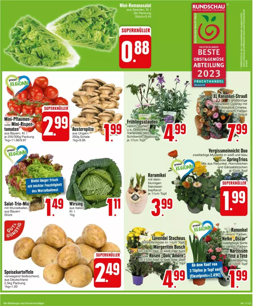 Aktueller Prospekt Edeka - Prospekte - von 18.03 bis 23.03.2024 - strona 5 - produkty: Abtei, aust, Austern, ball, bio, eis, kartoffel, kartoffeln, lavendel, Narzissen, obst, pilze, ring, salat, Schal, Schale, speisekartoffeln, Ti, topf, Yo