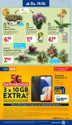 Gazetka promocyjna Aldi Nord - Von Montag - Gazetka - ważna od 21.10 do 21.10.2023 - strona 21 - produkty: aldi, aldi talk, Bau, Blüte, Brei, buch, eis, erde, Germ, gin, hardware, Holz, kamera, kulturtopf, LG, medion, pflanze, pflanzen, phalaenopsis, Ria, ring, Schal, Schale, sim, smartphone, smartphones, Soda, Software, Ti, topf, usb, ZTE