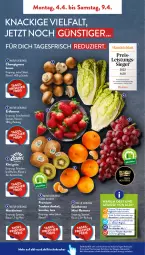 Gazetka promocyjna AldiSud - ALDI Aktuell - Gazetka - ważna od 09.04 do 09.04.2022 - strona 2 - produkty: aldi, asti, beere, beeren, bio, braun, champignon, champignons, champignons braun, eis, erdbeere, erdbeeren, erde, kiwi, kracher, lebensmittel, leine, mandarine, mandarinen, natur, obst, Obst und Gemüse, Rauch, reis, rum, salat, salatherzen, Schal, Schale, Ti, trauben, und gemüse, Yo
