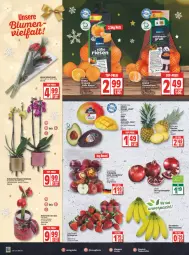 Gazetka promocyjna Edeka - Angebote der Woche - Gazetka - ważna od 25.12 do 25.12.2021 - strona 2 - produkty: avocado, banane, bananen, beere, beeren, beutel, bio, Blüte, clementinen, deit, deka, erdbeere, erdbeeren, grana, Granatäpfel, mac, mango, Mett, monte, nuss, orange, orangen, orchidee, orchideen, Rana, Schal, Schale, Schmetterling, schmetterlingsorchidee, tafeläpfel, Ti