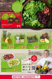 Gazetka promocyjna Selgros - Food - Gazetka - ważna od 26.03 do 26.03.2025 - strona 3 - produkty: angebot, angebote, bio, eis, mac, nuss, reis, salat, salate, Ti