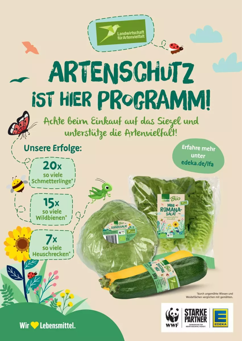 Aktueller Prospekt Edeka - Prospekte - von 04.08 bis 09.08.2025 - strona 30 - produkty: deka, lebensmittel, LG, Mett, Schmetterling, tee, Ti