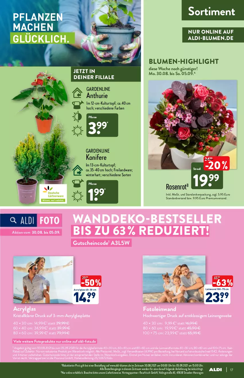 Aktueller Prospekt Aldi Nord - Aldi-Aktuell - von 30.08 bis 04.09.2021 - strona 17