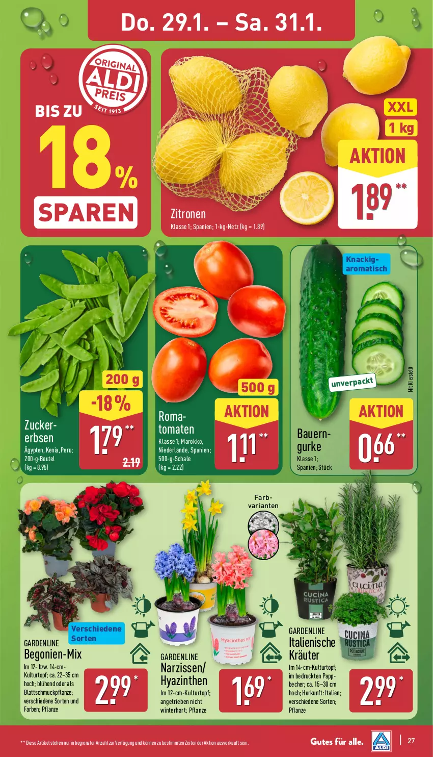 Aktueller Prospekt Aldi Nord - Von Montag - von 26.01 bis 31.01.2026 - strona 29 - produkty: auer, Bau, Bauer, Becher, Begonie, beutel, Blüte, Brei, erbsen, gurke, kräuter, kulturtopf, Narzissen, pflanze, Ria, Schal, Schale, Schmuck, Ti, tisch, tomate, tomaten, topf, zitrone, zitronen, ZTE, zucker
