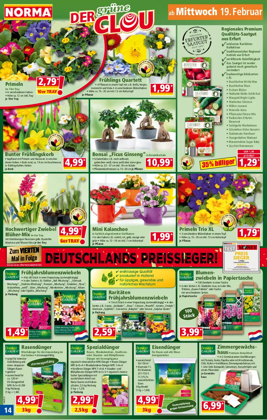 Aktueller Prospekt Norma - Norma - von 17.02 bis 24.02.2025 - strona 14 - produkty: Astra, ball, Bau, beutel, bio, blume, blumen, Blüte, bohne, chili, dahlie, dünger, eis, erde, Ficus, Garten, Gewächshaus, Gießkanne, gin, Gladiolen, gurke, HP, kakao, Kalanchoe, kirsch, Konifere, korb, kulturtopf, Kürbis, LG, mango, melone, messer, Narzissen, natur, orange, papier, paprika, petersilie, pflanze, pflanzen, Primeln, radieschen, rasen, rasendünger, reis, reiss, rosen, salat, Salatgurke, salz, Schal, Schale, Schmuck, sesam, Spezi, stauden, Tasche, Ti, tisch, tomate, topf, wasser, wassermelone, zucchini, zwiebel, zwiebeln