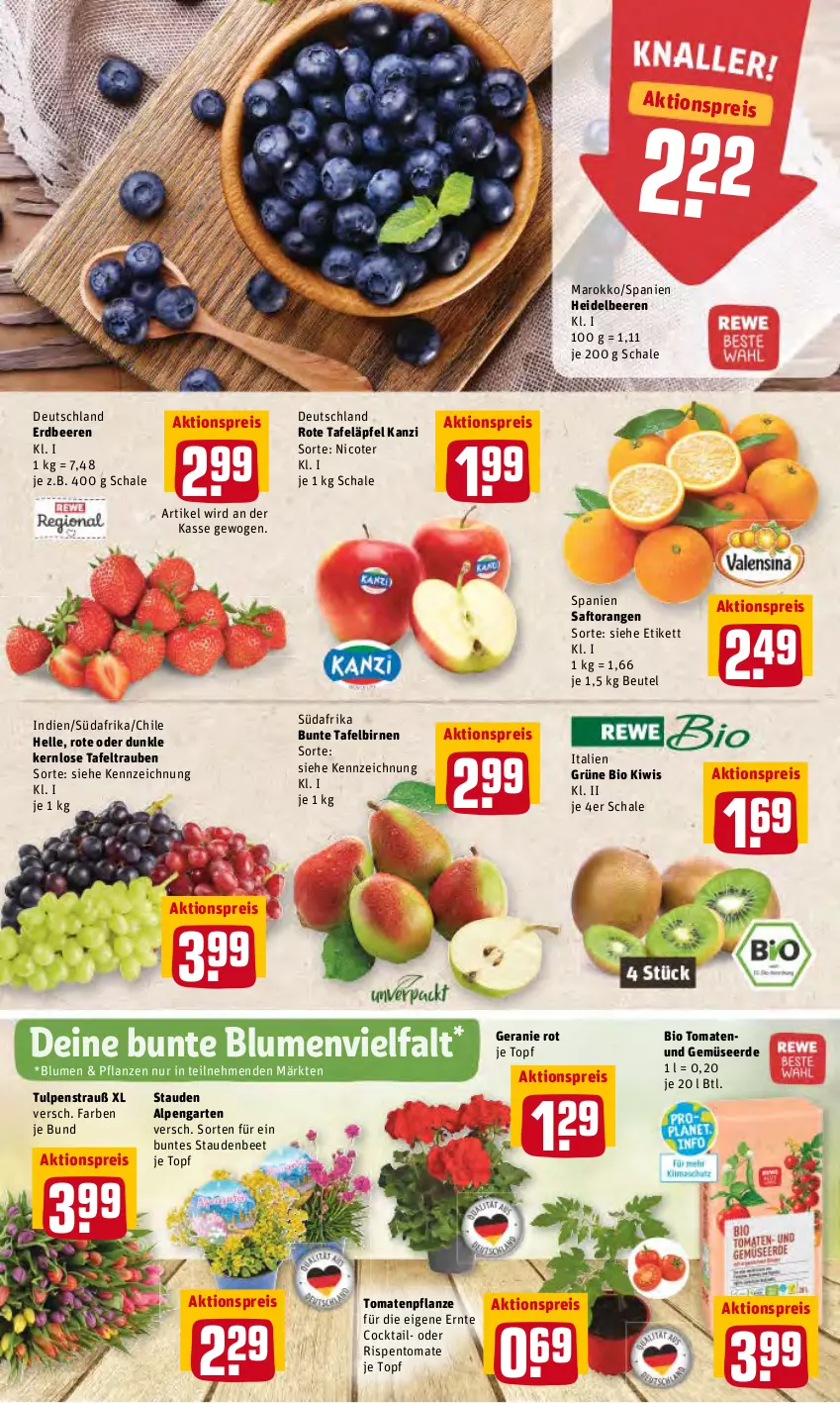 Aktueller Prospekt Rewe - REWE Ihr Kaufpark - von 19.04 bis 23.04.2022 - strona 2 - produkty: aktionspreis, beere, beeren, beutel, bio, Birnen, blume, blumen, cocktail, eis, elle, erdbeere, erdbeeren, erde, Garten, Gemüseerde, geranie, heidelbeere, heidelbeeren, kiwi, orange, orangen, pflanze, pflanzen, reis, rote tafeläpfel, saft, Saftorangen, Schal, Schale, stauden, tafeläpfel, tafelbirnen, tafeltrauben, Ti, tomate, tomaten, topf, trauben, und gemüse