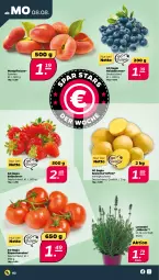 Gazetka promocyjna Netto - Woche 32 - Gazetka - ważna od 13.08 do 13.08.2022 - strona 2 - produkty: beere, beeren, eis, erdbeere, erdbeeren, heidelbeere, heidelbeeren, kartoffel, kartoffeln, lavendel, mehl, pfirsich, pfirsiche, plattpfirsiche, rispentomaten, speisekartoffeln, Ti, tomate, tomaten, topf