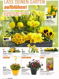 Gazetka promocyjna Obi - Prospekte - Gazetka - ważna od 13.03 do 13.03.2022 - strona 6 - produkty: balkonpflanzen, bio, blume, blumen, blumenerde, Blüte, eis, erde, Garten, mac, pflanze, pflanzen, reis, sac, tee, Ti, top-preis, topf, zwiebel