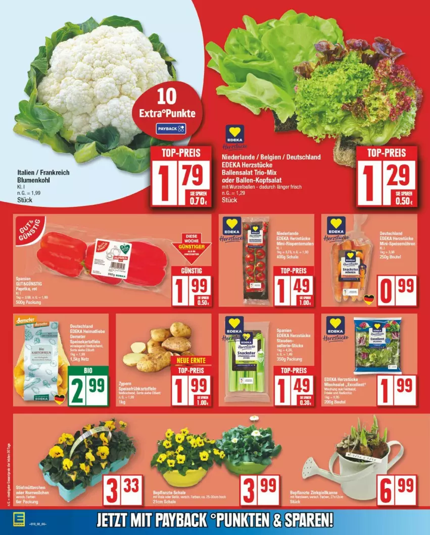 Aktueller Prospekt Edeka - Prospekte - von 03.03 bis 08.03.2025 - strona 5 - produkty: blume, blumen, blumenkohl, payback