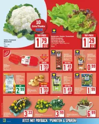 Gazetka promocyjna Edeka - Prospekte - Gazetka - ważna od 08.03 do 08.03.2025 - strona 5 - produkty: blume, blumen, blumenkohl, payback