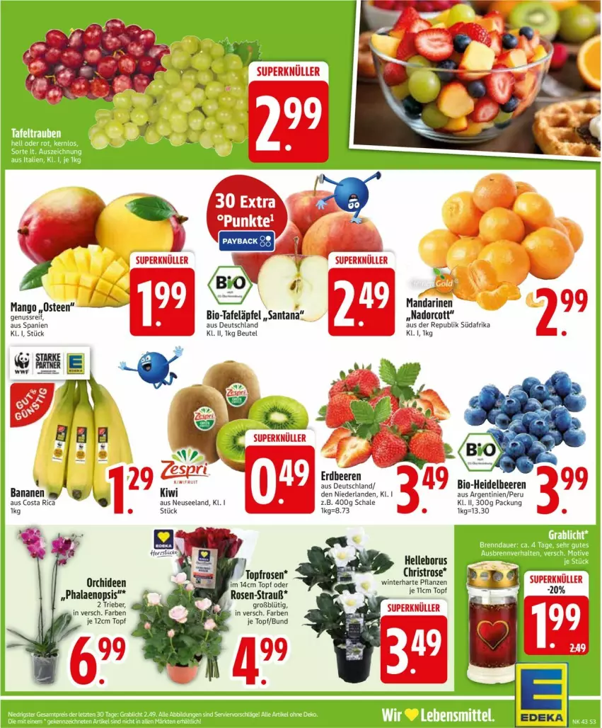 Aktueller Prospekt Edeka - Prospekte - von 20.10 bis 25.10.2025 - strona 3 - produkty: banane, bananen, beere, beeren, bio, elle, erdbeere, erdbeeren, mandarine, mandarinen, mango, orchidee, orchideen, pflanze, pflanzen, phalaenopsis, rosen, Schal, Schale, tee, Ti, topf