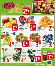 Gazetka promocyjna Edeka - Prospekte - Gazetka - ważna od 25.10 do 25.10.2025 - strona 3 - produkty: banane, bananen, beere, beeren, bio, elle, erdbeere, erdbeeren, mandarine, mandarinen, mango, orchidee, orchideen, pflanze, pflanzen, phalaenopsis, rosen, Schal, Schale, tee, Ti, topf
