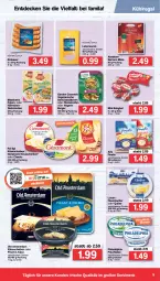 Gazetka promocyjna Famila - Prospekte - Gazetka - ważna od 23.04 do 23.04.2022 - strona 9 - produkty: arla, auer, babybel, Becher, beutel, burger, decke, filet, filets, finello, fol epi, frischkäse, garden gourmet, Hausmacher, Käse, käsescheiben, krakauer, kühlregal, leberwurst, Loose, mac, mini babybel, Old Amsterdam, philadelphia, pute, quäse, regal, reifen, serrano, Ti, Vegeta, wurst