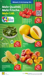 Gazetka promocyjna Lidl - Aktionsprospekt - Gazetka - ważna od 10.06 do 10.06.2023 - strona 36 - produkty: eis, honig, honigmelone, LG, mais, melone, ndk, pfirsich, pfirsiche, Rauch, reis, Schal, Schale, spinat, strauchtomaten, Ti, tomate, tomaten, zucker, zuckermais