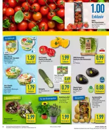 Gazetka promocyjna Diska - Prospekte - Gazetka - ważna od 18.06 do 18.06.2022 - strona 5 - produkty: aktionspreis, antipasti, asti, auer, avocado, Bau, Bauer, Becher, blume, burger, chiquita, deka, eis, fisch, grill, guacamole, gurke, HP, kartoffel, kartoffeln, knorr, lavendel, mini-rispentomaten, Peroni, pflanze, pflanzen, reis, Ria, rispentomaten, Romanasalat, salat, Salatgurke, Schal, Schale, sonnenblume, speisekartoffeln, Ti, tomate, tomaten, topf, ZTE