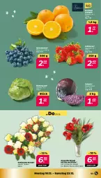 Gazetka promocyjna Netto - Woche 51 - Gazetka - ważna od 23.12 do 23.12.2023 - strona 3 - produkty: beere, beeren, Blüte, eis, eisbergsalat, erdbeere, erdbeeren, heidelbeere, heidelbeeren, orange, orangen, rotkohl, salat, Ti, Vase