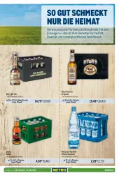 Gazetka promocyjna Metro - Regionaler Adresseinleger - Gazetka - ważna od 12.06 do 12.06.2024 - strona 119 - produkty: Alwa, bügel, bügelflasche, elle, flasche, getränk, getränke, gin, mac, mineralwasser, natur, Palette, säfte, Ti, wasser