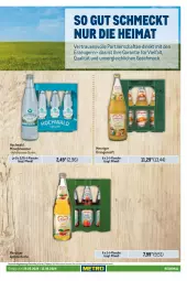 Gazetka promocyjna Metro - Regionaler Adresseinleger - Gazetka - ważna od 12.06 do 12.06.2024 - strona 7 - produkty: Alwa, apfel, Apfelschorle, flasche, getränk, getränke, hochwald, mac, mineralwasser, orange, orangen, orangensaft, Palette, saft, schorle, Ti, wasser