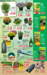 Gazetka promocyjna Jawoll - Prospekte - Gazetka - ważna od 20.08 do 20.08.2022 - strona 4 - produkty: akku, blume, blumen, blumenerde, Blüte, chrysanthemen, dünger, eis, elle, erde, Garten, hortensie, Kraut, Kugel, kunstrasen, ladegerät, LG, longlife, pflanze, pflanzen, pflanzerde, Pflanztopf, rasen, rasendünger, Rauch, rind, ring, sac, schlauch, Ti, topf, wasser, Wasserschlauch