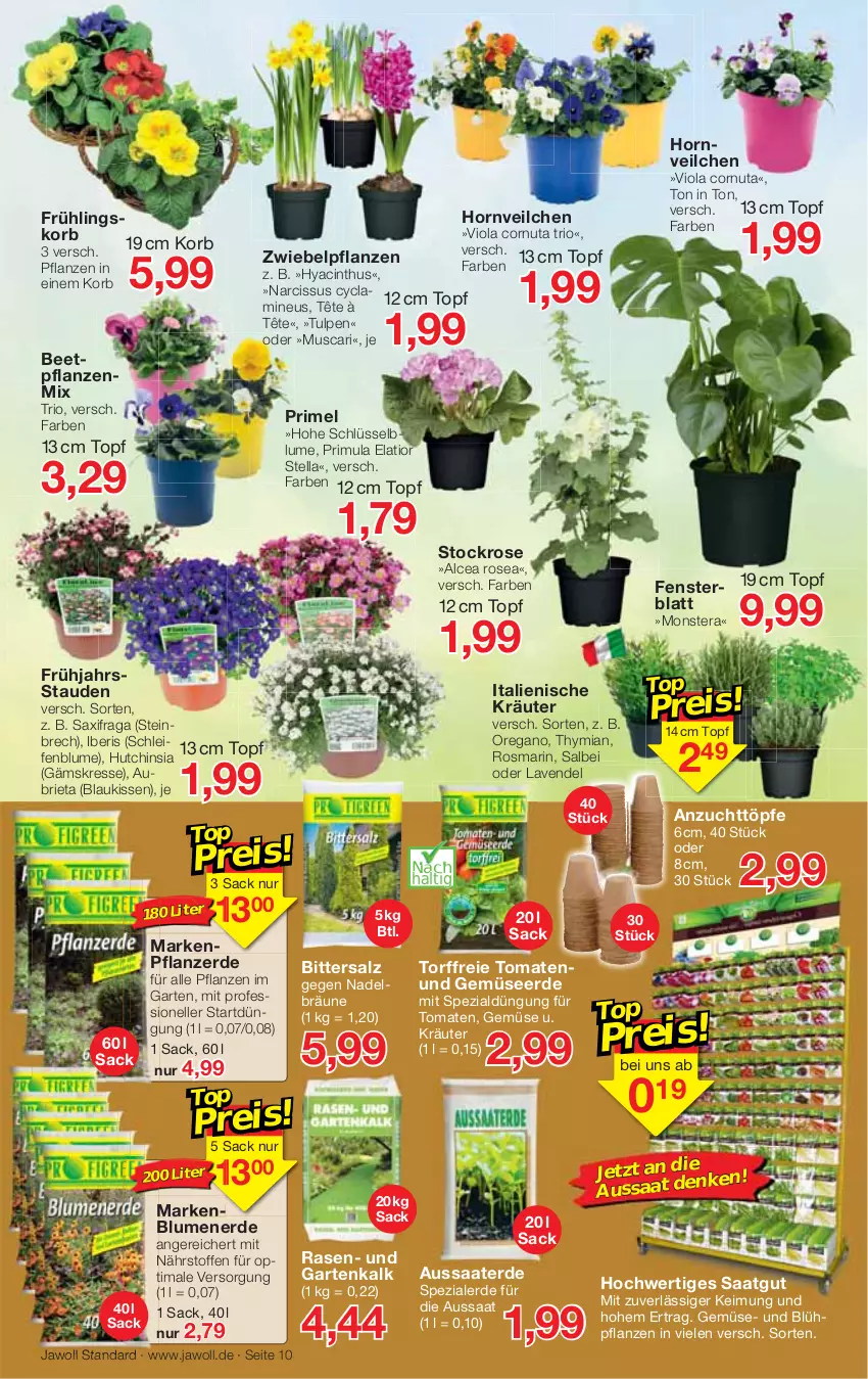 Aktueller Prospekt Jawoll - Prospekte - von 29.01 bis 04.02.2023 - strona 10 - produkty: beetpflanzen, blume, blumen, blumenerde, brie, cin, eis, elle, erde, fenster, Garten, Gemüseerde, HP, kissen, korb, kräuter, lavendel, monster, Monstera, pflanze, pflanzen, pflanzerde, rasen, rosmarin, sac, salz, Spezi, stauden, Ti, tomate, tomaten, topf, und gemüse, zwiebel