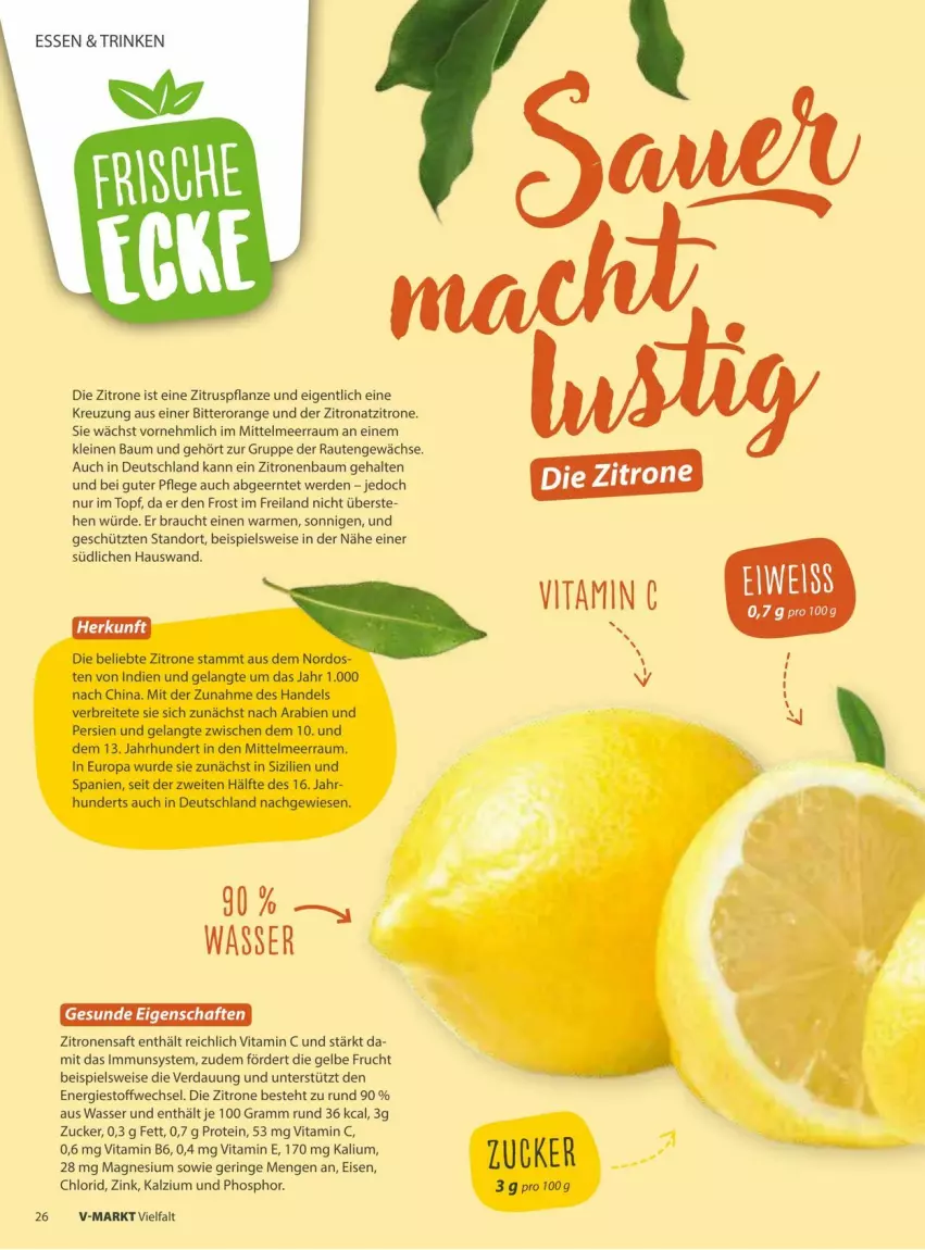 Aktueller Prospekt Vmarkt - Prospekte - von 09.07 bis 23.07.2025 - strona 26 - produkty: Bau, Brei, eis, Elan, erde, frucht, leine, magnesium, orange, pflanze, Rauch, ring, saft, topf, vita, Vitamin B, Vitamin C, wasser, zitrone, zitronen, zitronensaft, ZTE, zucker