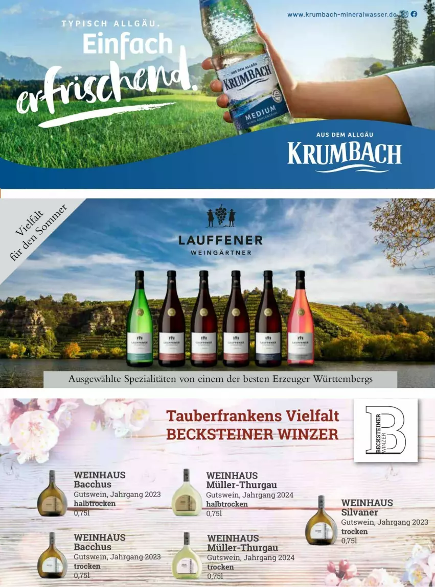 Aktueller Prospekt Vmarkt - Prospekte - von 09.07 bis 23.07.2025 - strona 37 - produkty: ACC, becks, becksteiner, Müller, Müller-Thurgau, silvaner, steiner, wein