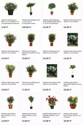 Gazetka promocyjna Obi - Prospekte - Gazetka - ważna od 13.12 do 13.12.2023 - strona 4 - produkty: dip, Garten, topf