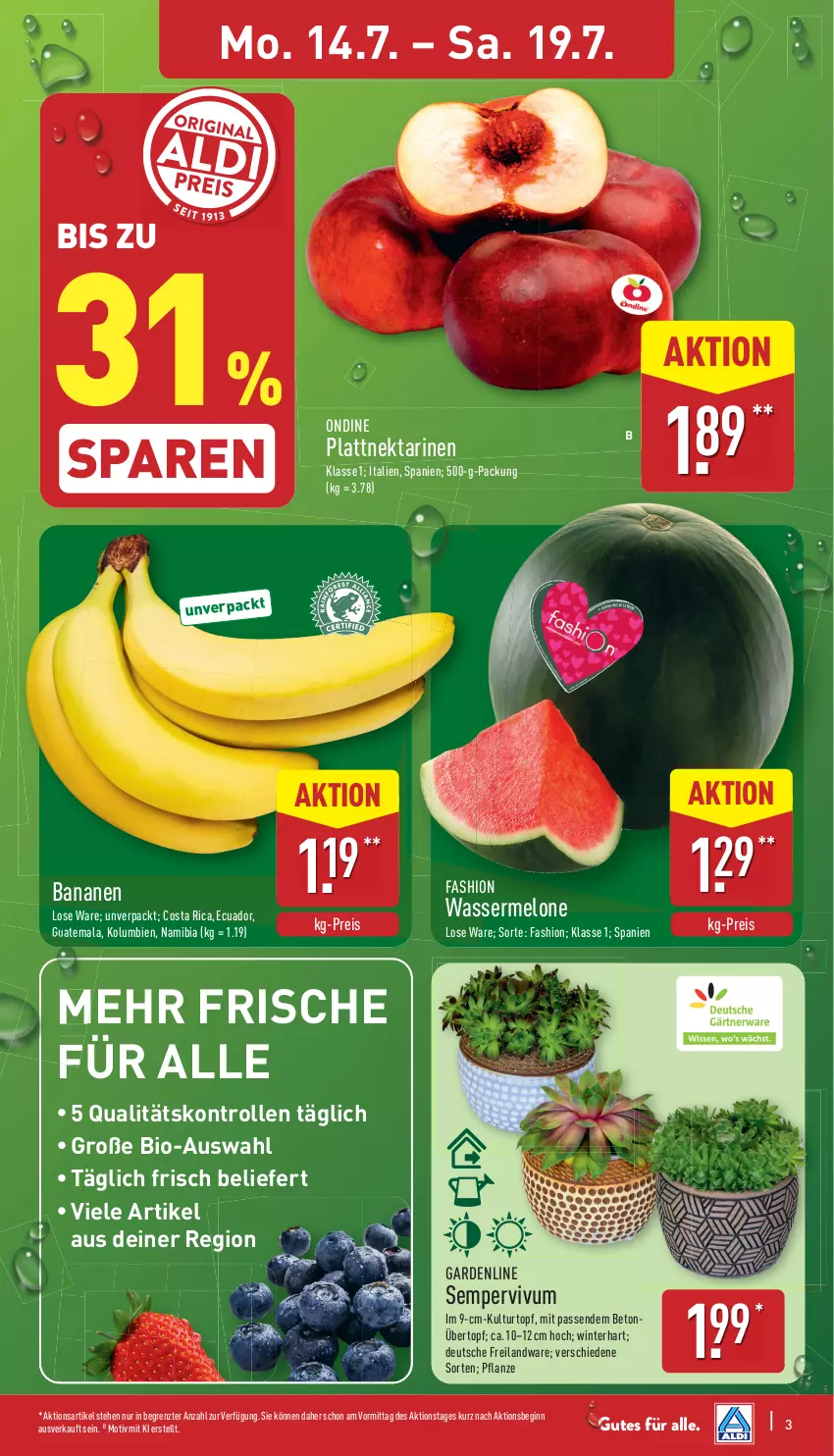 Aktueller Prospekt Aldi Nord - Von Montag - von 14.07 bis 19.07.2025 - strona 3 - produkty: banane, bananen, bio, eis, gin, kulturtopf, melone, Nektar, nektarinen, reis, Sempervivum, Ti, topf, übertopf, wasser, wassermelone, ZTE