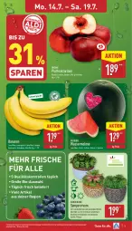 Gazetka promocyjna Aldi Nord - Von Montag - Gazetka - ważna od 19.07 do 19.07.2025 - strona 3 - produkty: banane, bananen, bio, eis, gin, kulturtopf, melone, Nektar, nektarinen, reis, Sempervivum, Ti, topf, übertopf, wasser, wassermelone, ZTE