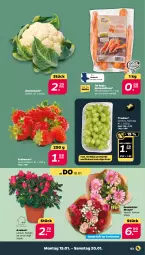 Gazetka promocyjna Netto - Woche 3 - Gazetka - ważna od 20.01 do 20.01.2024 - strona 3 - produkty: auer, beere, beeren, blume, blumen, blumenkohl, eis, erdbeere, erdbeeren, möhren, reis, sac, speisemöhren, Ti, topf, trauben