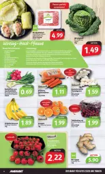 Gazetka promocyjna Markant - Prospekte - Gazetka - ważna od 11.02 do 11.02.2023 - strona 4 - produkty: banane, bananen, bio, champignon, champignons, chiquita, eis, fleisch, gutes essen, hackfleisch, ingwer, Lauchzwiebel, lauchzwiebeln, LG, möhren, orange, orangen, radieschen, rind, Schal, Schale, tafeltrauben, Ti, trauben, zwiebel, zwiebeln