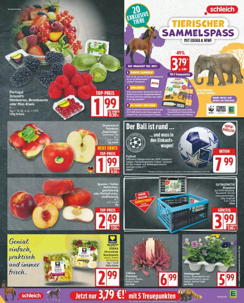 Aktueller Prospekt Edeka - Prospekte - von 15.09 bis 20.09.2025 - strona 5 - produkty: ball, beere, beeren, brombeere, brombeeren, deka, Fußball, himbeer, himbeere, himbeeren, Ti