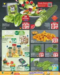 Gazetka promocyjna Edeka - Prospekte - Gazetka - ważna od 20.09 do 20.09.2025 - strona 4 - produkty: beere, beeren, bio, braun, champignon, champignons, deka, eis, kartoffel, kartoffeln, mac, Romanasalat, sac, salat, salate, speisekartoffeln, Ti