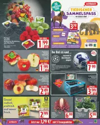 Gazetka promocyjna Edeka - Prospekte - Gazetka - ważna od 20.09 do 20.09.2025 - strona 5 - produkty: ball, beere, beeren, brombeere, brombeeren, deka, Fußball, himbeer, himbeere, himbeeren, Ti